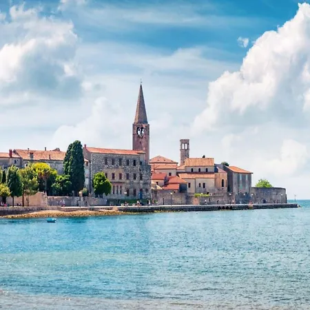 Spacious With Garden Apartment *