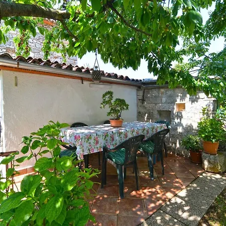 Spacious With Garden Apartment