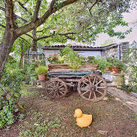 Spacious With Garden * Porec